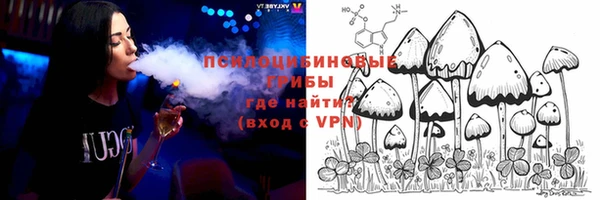 эйфоретик Дмитриев
