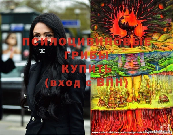 гашишное масло Дмитровск