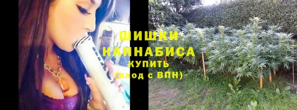 mdpv Дмитров
