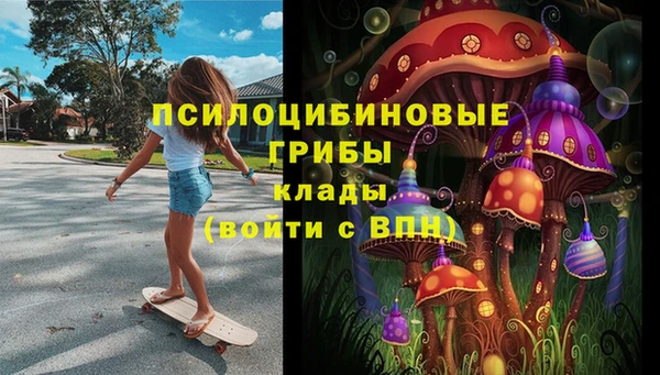 эйфоретик Елабуга