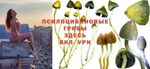 эйфоретик Елабуга